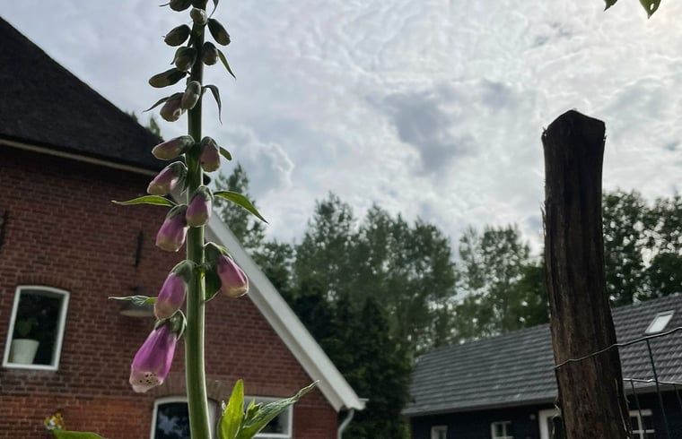 Vacation cottage in Laren, located in the green Achterhoek, Gelderland, with idyllic views of nature and blooming flowers.