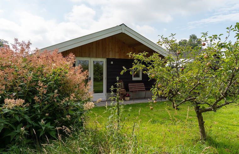 Das Ferienhaus in Laren bietet eine idyllische Aussicht auf die umliegende Landschaft in Achterhoek, Gelderland.