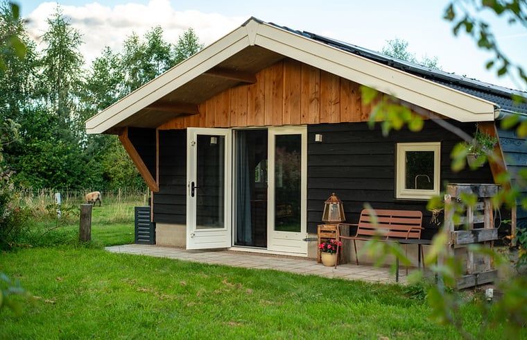 Ferienhaus in Laren mit einer einladenden Terrasse, gelegen in der natuerlichen Schoenheit von Achterhoek, Gelderland.