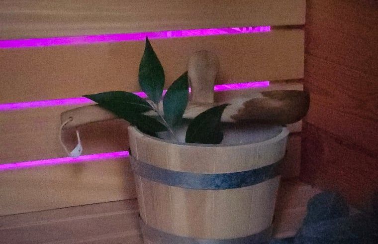 Aussicht ueber gruene Felder im Ferienhaus in Vragender, Achterhoek, mit laendlichem Charme.