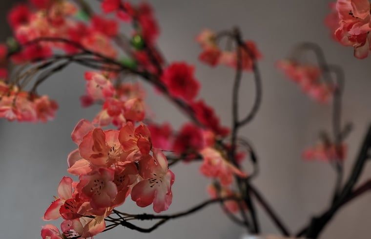 Detail des Duschschildes in einem Ferienhaus in Vragender, Achterhoek, mit Holzoberflaeche.