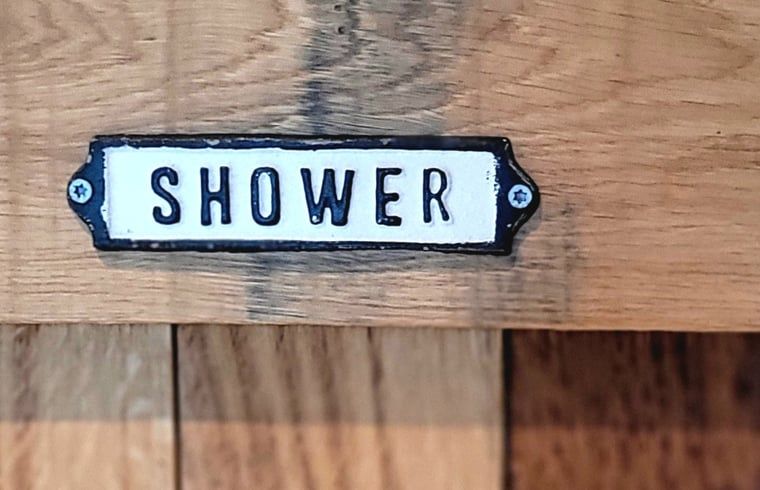 Laendliche Aussicht mit grasenden Kuehen im Ferienhaus in Vragender, Achterhoek.