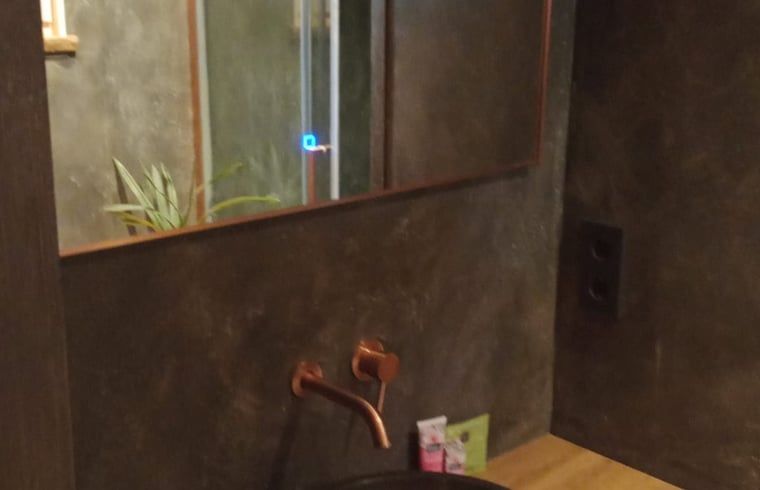 Elegant sink design in the bathroom of Holiday Home in Lochem, Achterhoek.