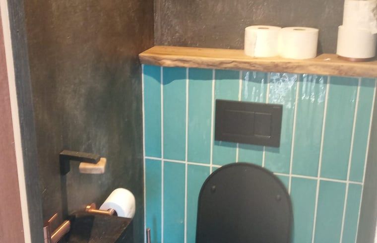 Modern toilet room in Holiday Home in Lochem, with stylish finish in Gelderland.