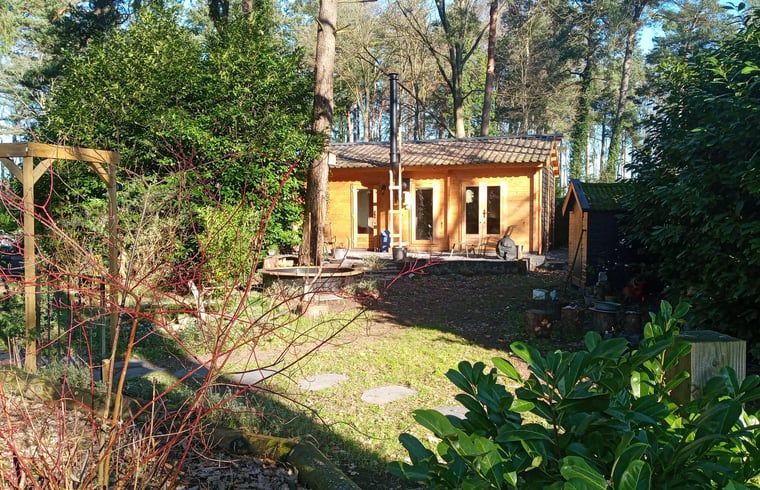 Surrounding nature around Holiday cottage in Lochem, Achterhoek, for peace seekers.