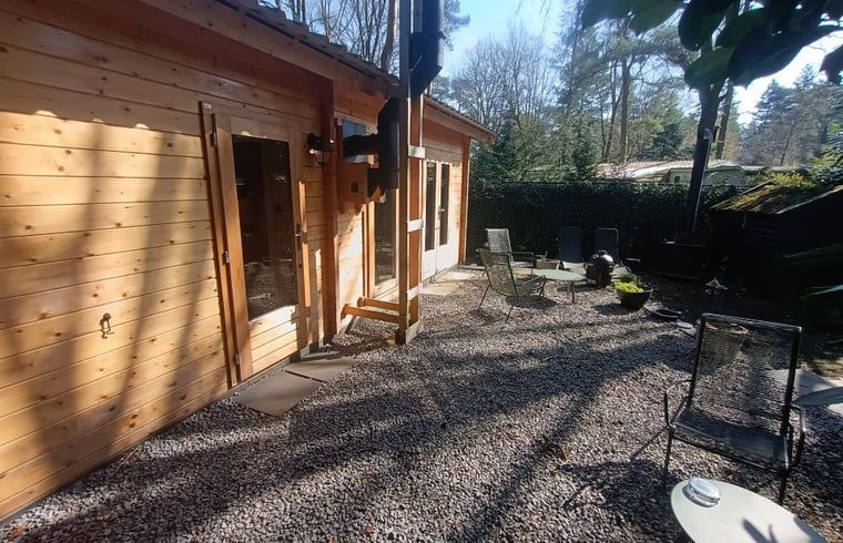 Shady garden at cottage in Lochem, perfect for relaxation in the Achterhoek.