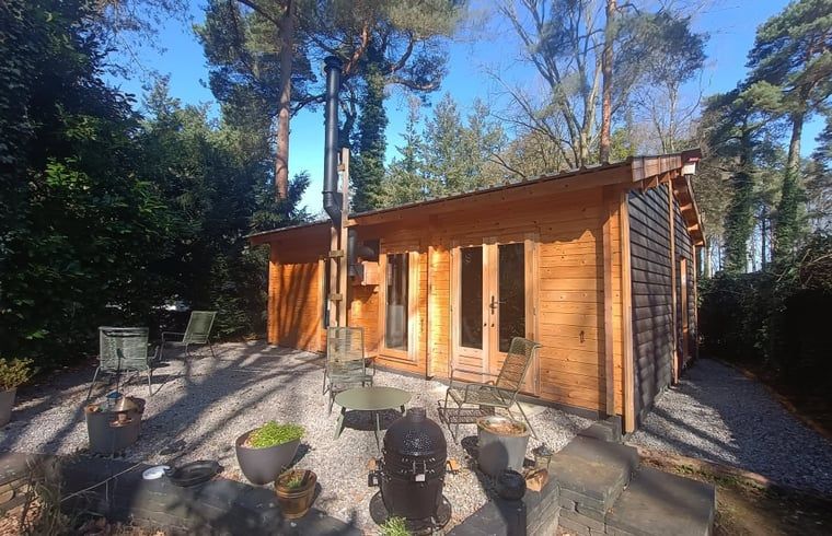 Gateway to Holiday Home in Lochem, Achterhoek, surrounded by nature.