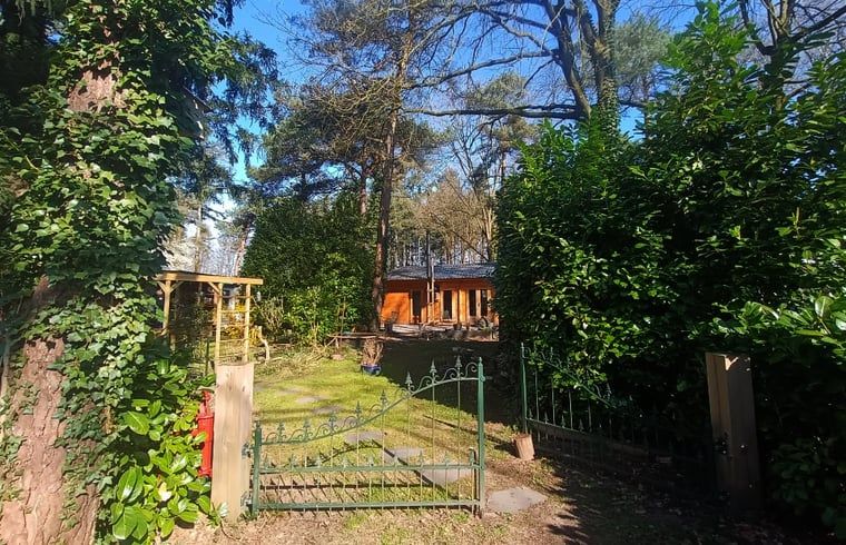 Restful garden surrounding Holiday home in Lochem, ideal for nature lovers.