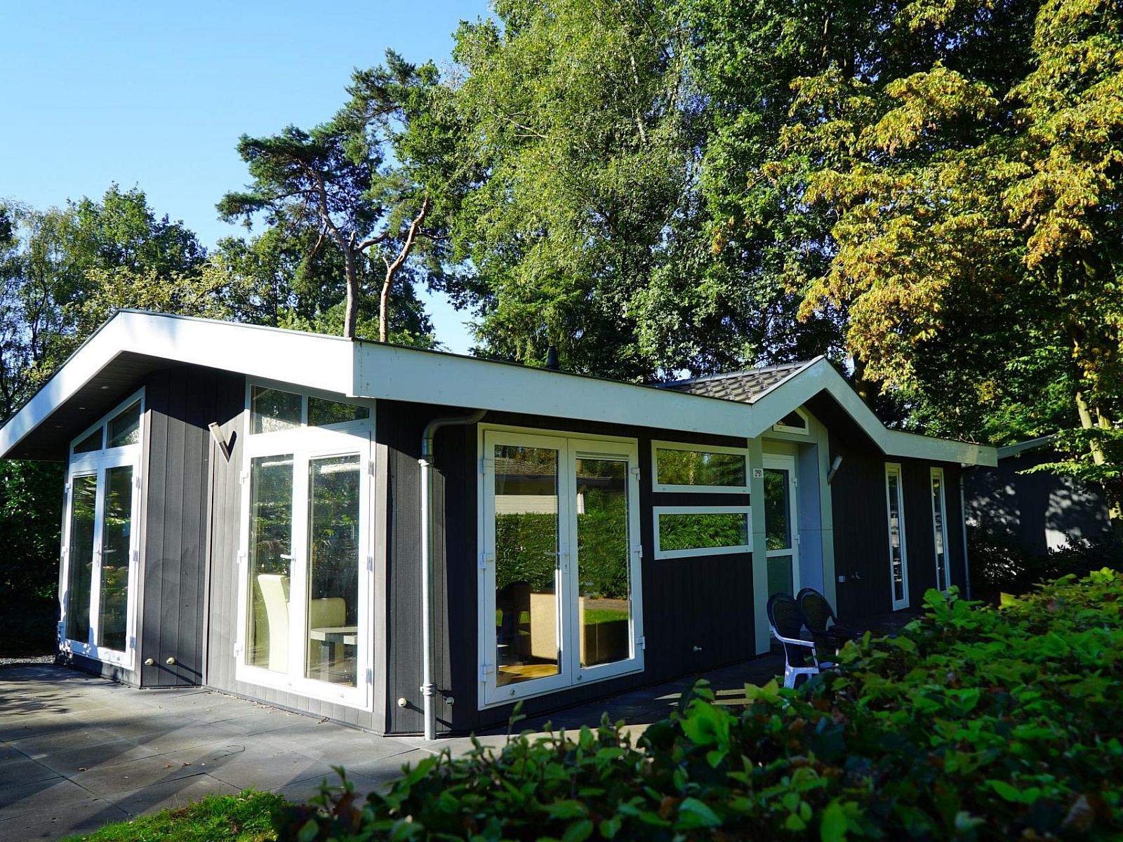 Hackfort Sauna 6 Ferienhaus in Lochem, Achterhoek, umgeben von gruener Natur und sonniger Terrasse, perfekt fuer Entspannung in Gelderland.