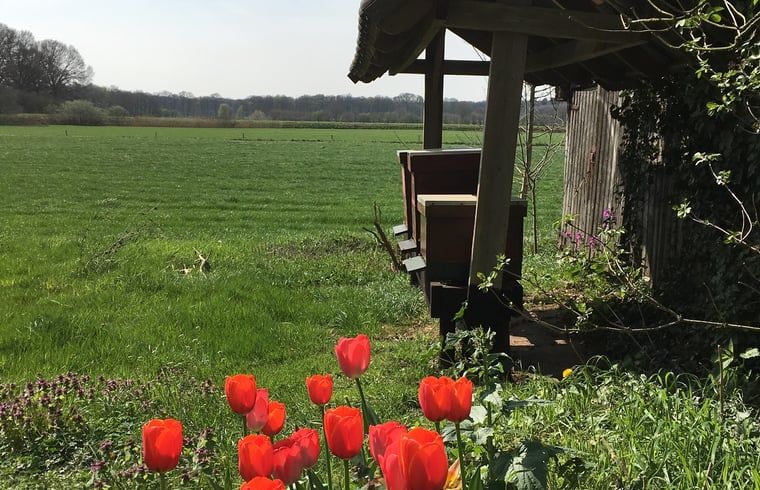 Verblijf 292113 - Vakantiewoning Achterhoek - Vakantiehuisje in Lochem