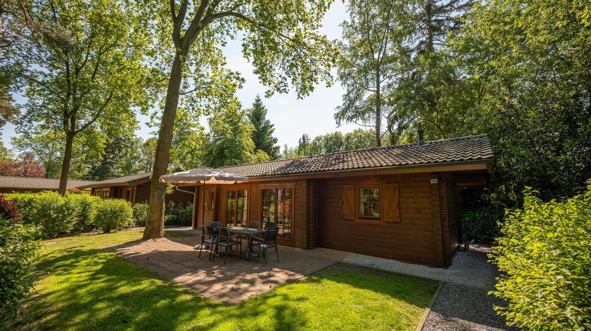 Boekhorst 6 vakantiehuis in Lochem, Achterhoek. Houten chalet met terras omgeven door groene natuur, ideaal voor een ontspannen verblijf.