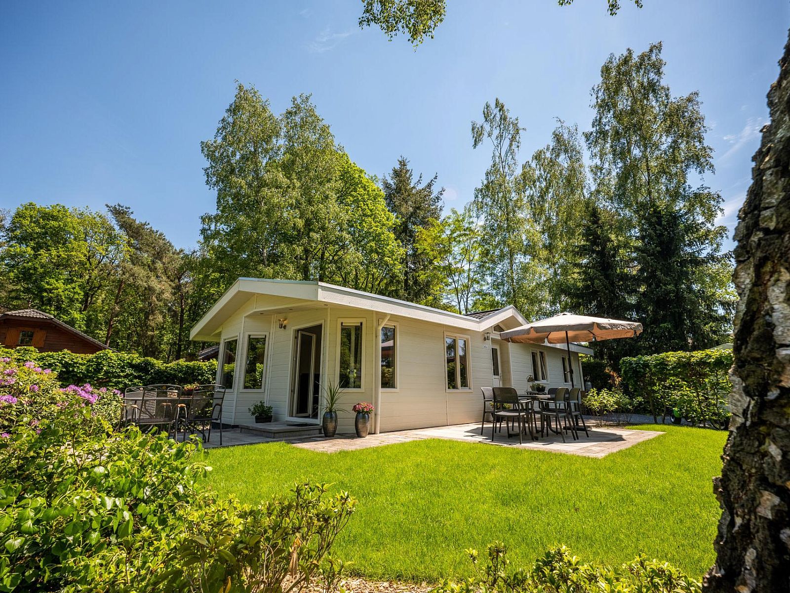 Hackfort 6 vacation home in Lochem, Achterhoek, surrounded by green nature and a sunny terrace for a relaxing stay in Gelderland.