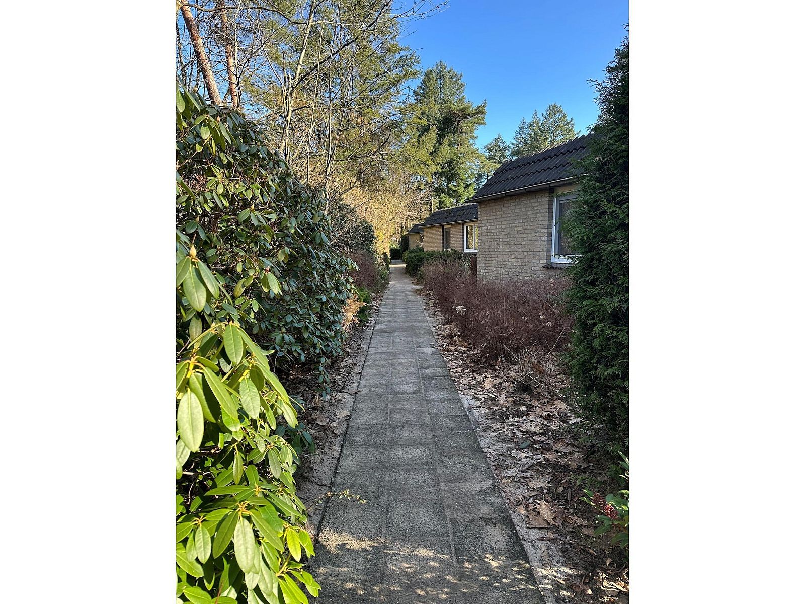 Verblijf 2921145 - Vakantiewoning Achterhoek - BOSRIJK