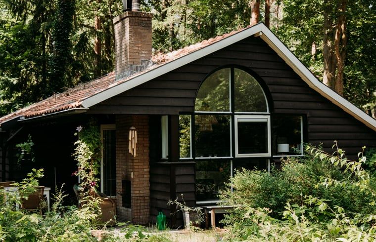 Charmant vakantiehuis in Lochem, Achterhoek, omgeven door groen en rust.