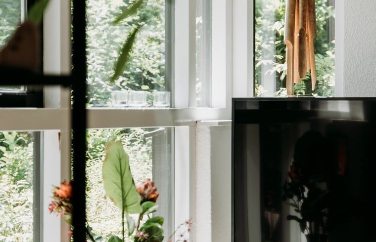 Groene omgeving zichtbaar vanuit het vakantiehuis in Lochem, Achterhoek.