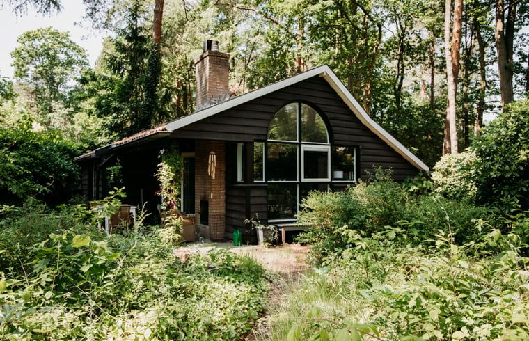 Rustieke buitenkant van vakantiehuis in Lochem, omgeven door natuur.