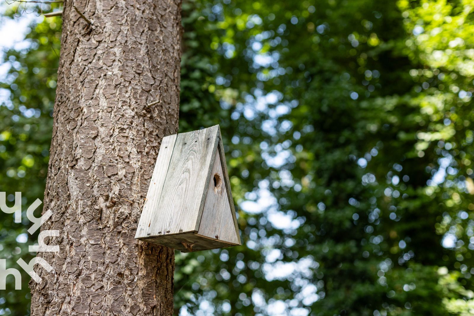 Vogelhuisje in de natuur bij DG1545 vakantiehuis in Lochem, Achterhoek, Gelderland.