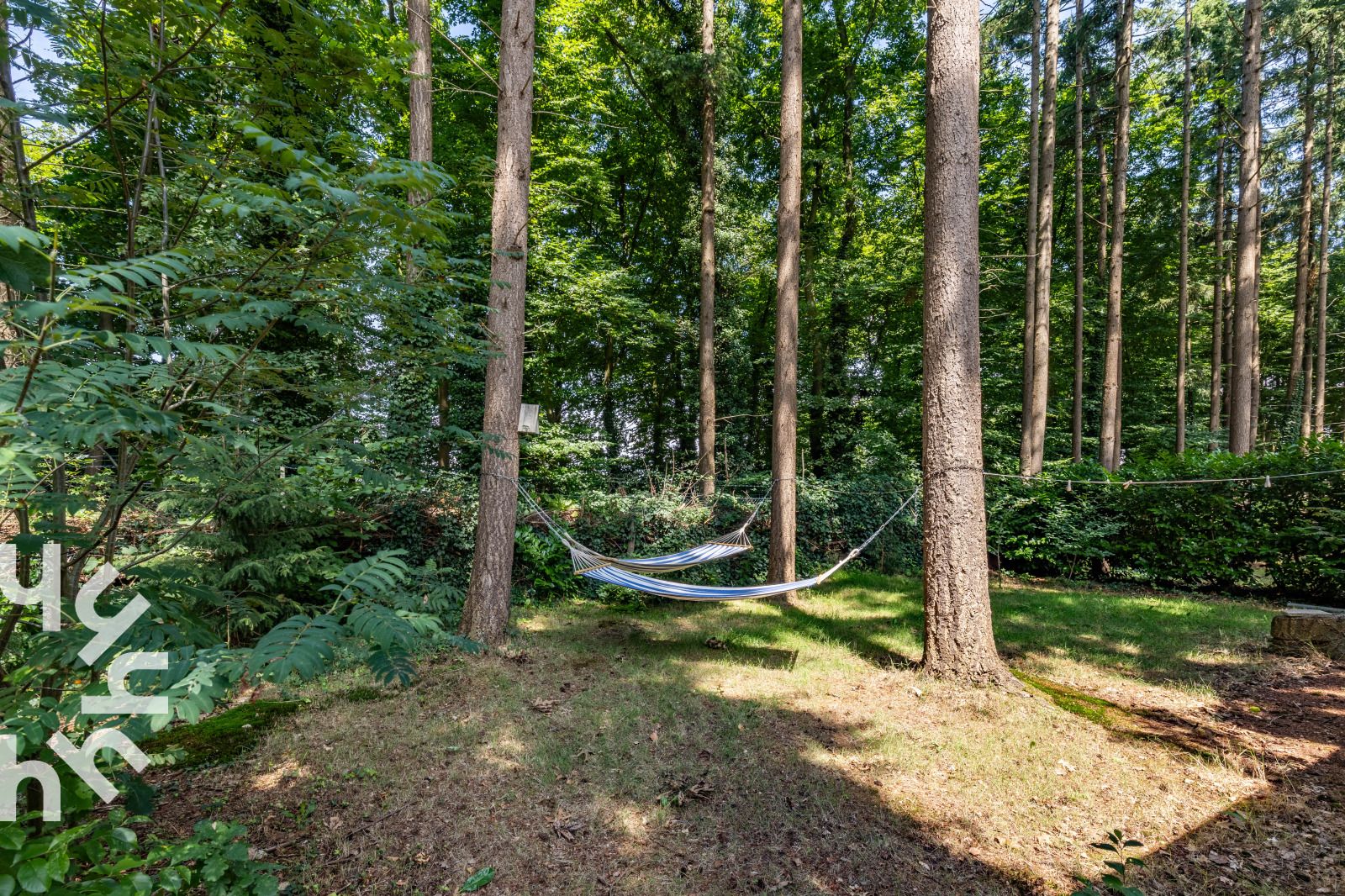 Uitzicht over de groene omgeving van DG1545 vakantiehuis in Lochem, Achterhoek, Gelderland.