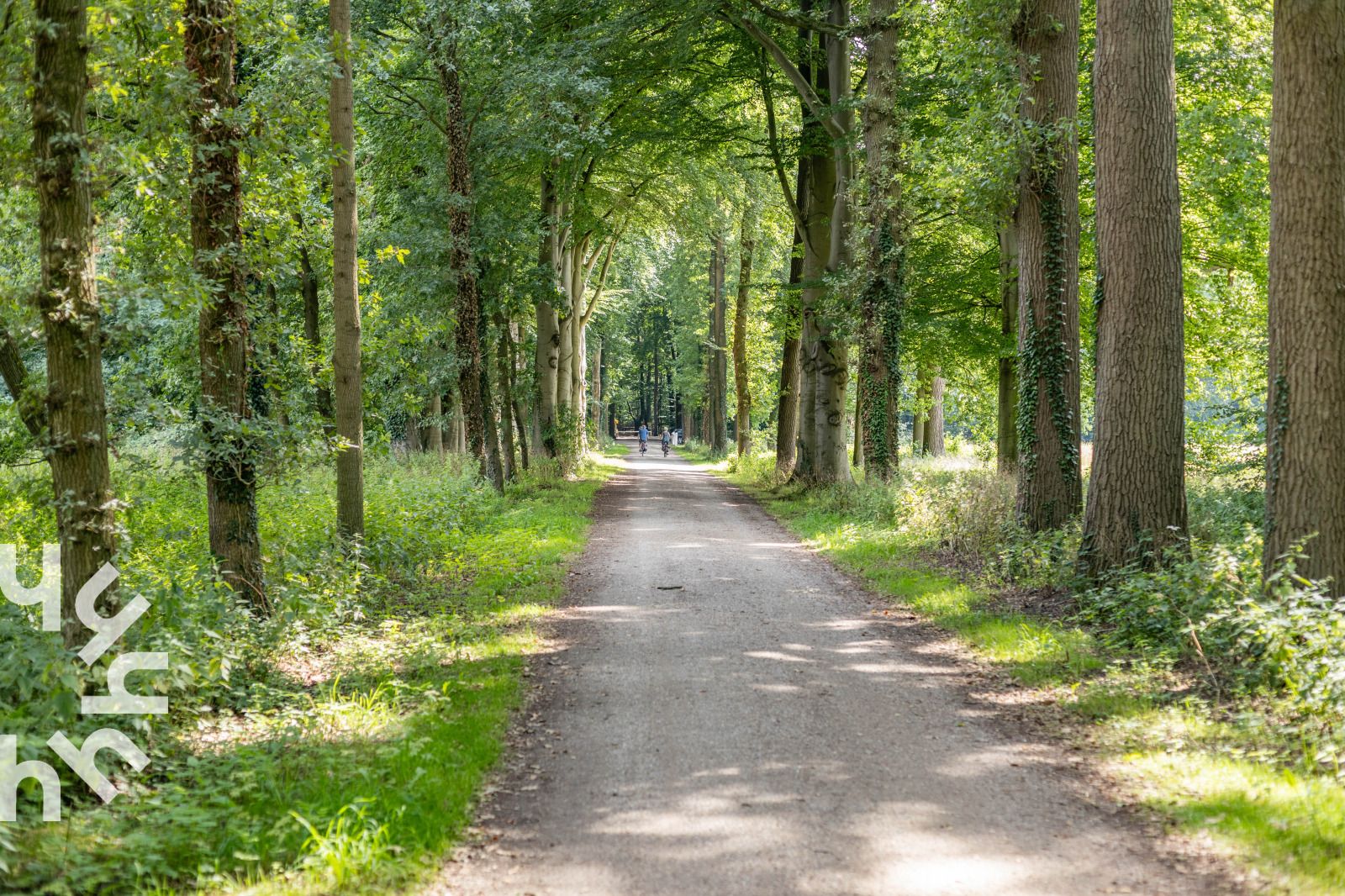 Brug in de omgeving van DG1545 vakantiehuis in Lochem, Achterhoek, Gelderland.