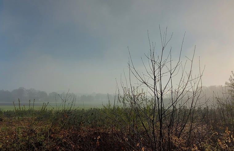 Image 22