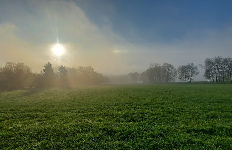 Image 24