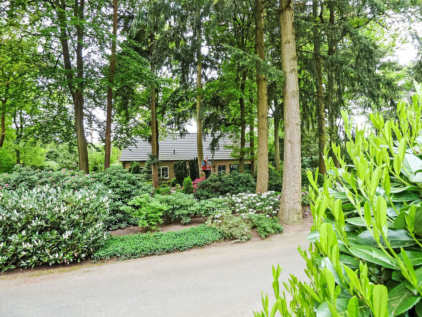Ferienhaus 4L in Lochem, Achterhoek, umgeben von gruener Natur und Baeumen.