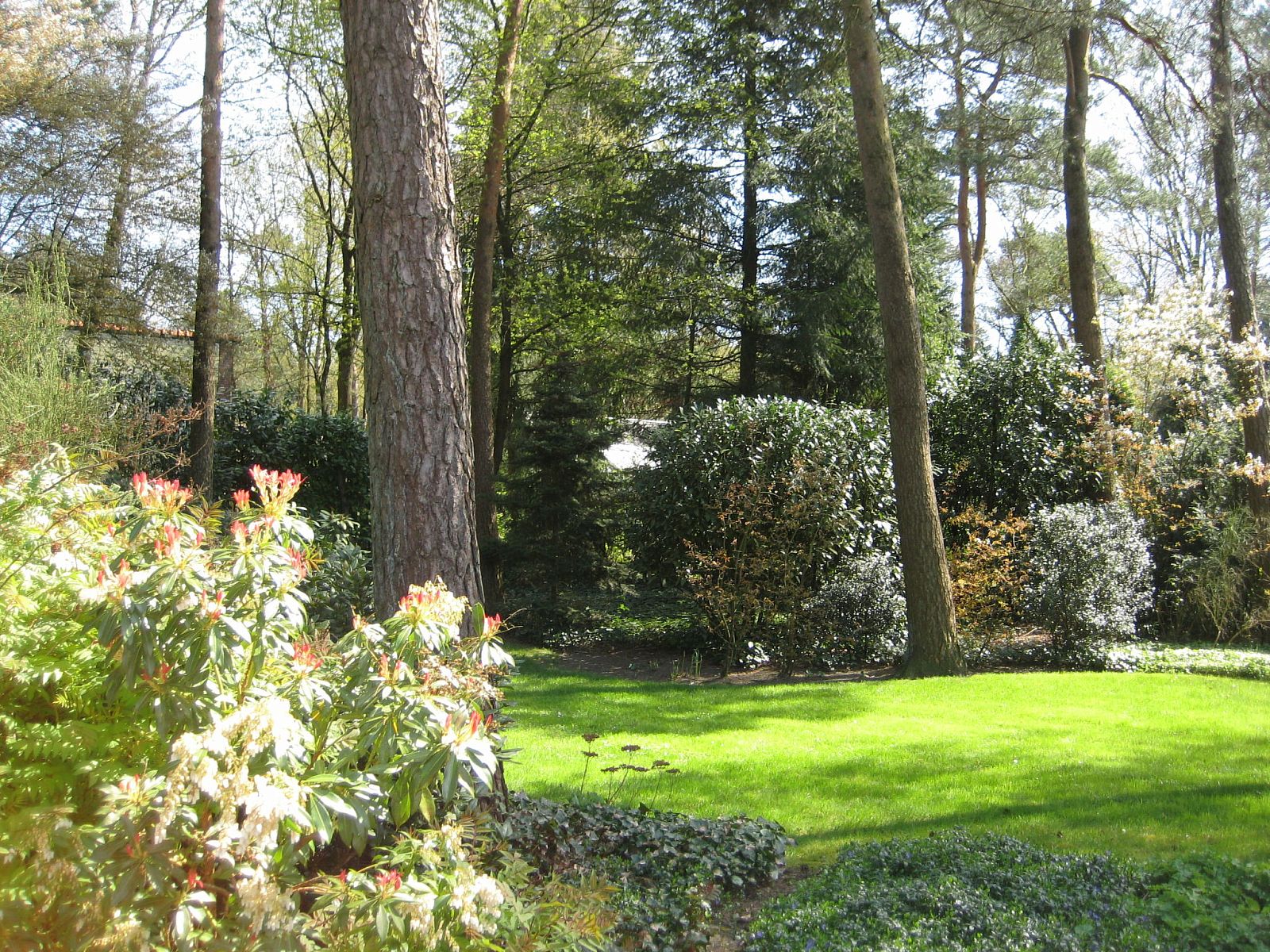 Tennisplatz in der Naehe des Ferienhauses 4L, Lochem, ideal fuer Sportliebhaber.