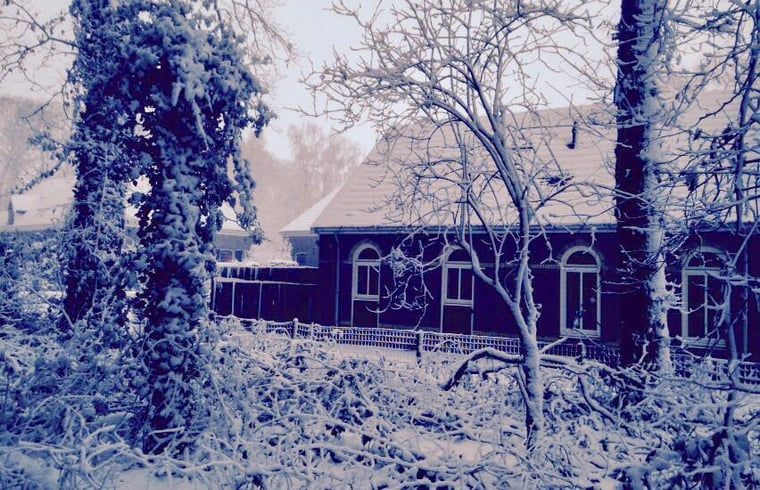 Sfeervol winterlandschap bij Huisje in Lochem, vakantiehuis in de besneeuwde natuur van de Achterhoek, Gelderland.