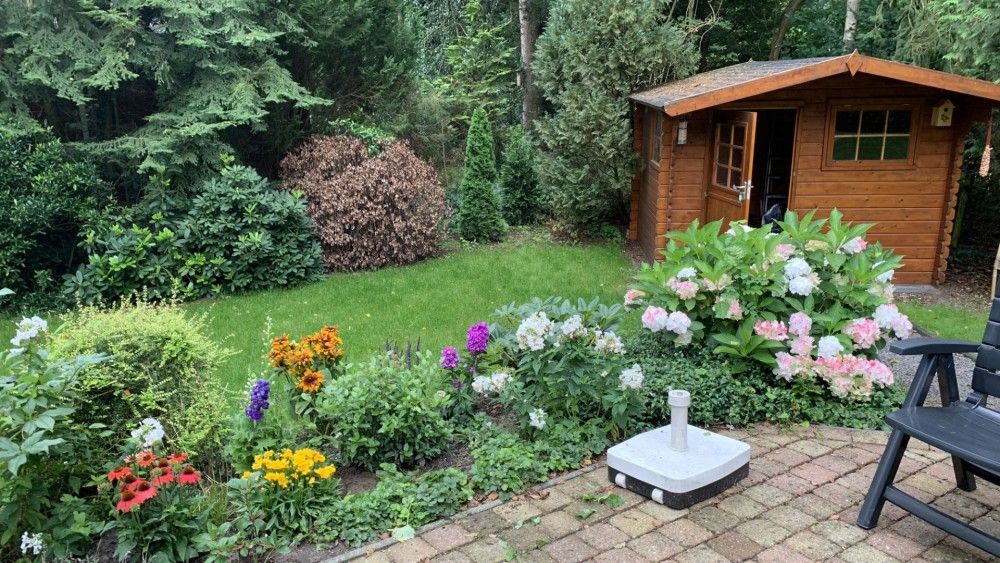 Guest house 292174 - Chalet Achterhoek - 330