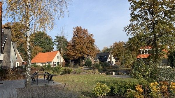 Guest house 292174 - Chalet Achterhoek - 330