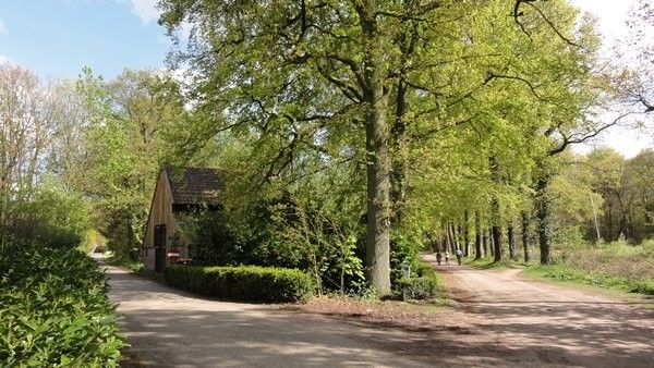 Guest house 292174 - Chalet Achterhoek - 330