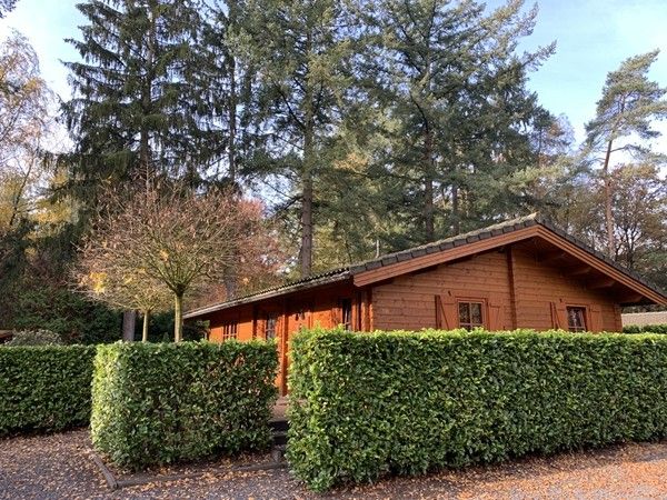 Guest house 292174 - Chalet Achterhoek - 330