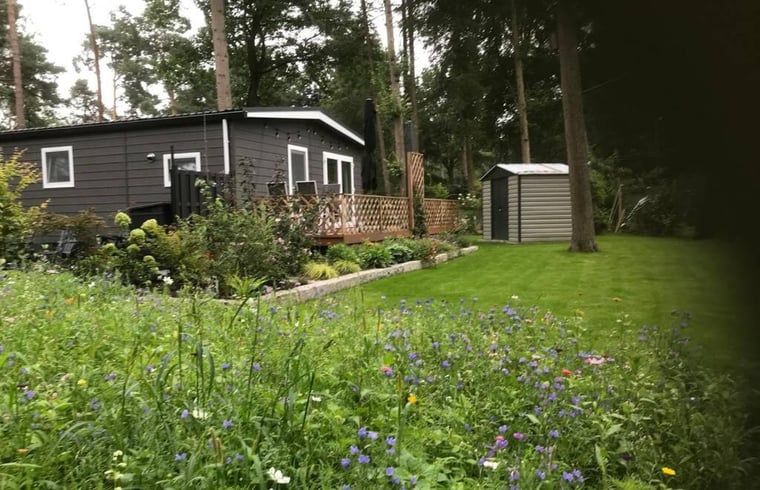 Ferienhaus in Lochem mit bluehendem Garten und Terrasse in Achterhoek, Gelderland.