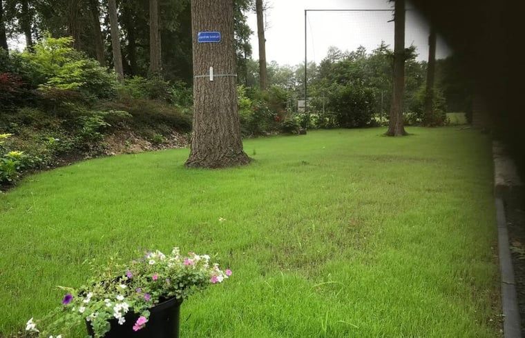 Gruener Garten mit Blumen am Ferienhaus in Lochem, ideal zum Entspannen.