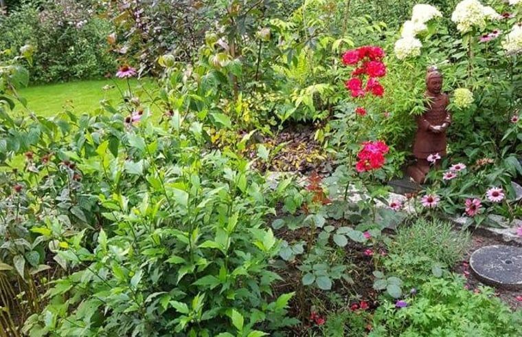 Ueppiger Garten mit verschiedenen Pflanzen im Ferienhaus in Lochem, Gelderland.