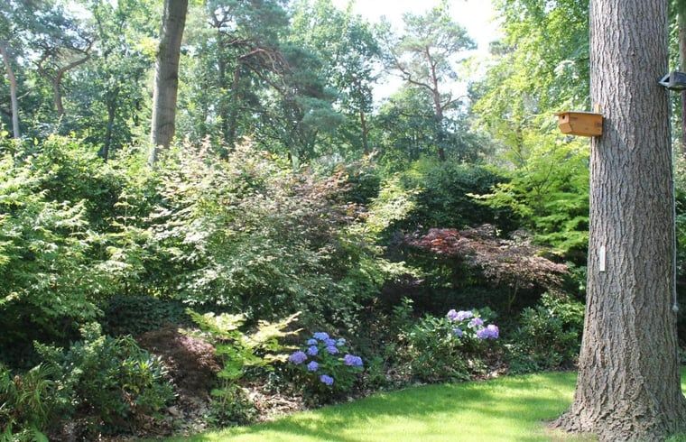 Schattiger Garten im Ferienhaus in Lochem, umgeben von Baeumen.