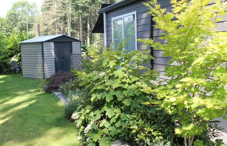 Schuppen und gruene Umgebung im Ferienhaus in Lochem, Achterhoek.