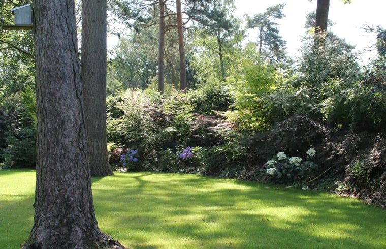 Gruener Garten mit Baeumen am Ferienhaus in Lochem, ideal fuer Ruhesuchende.