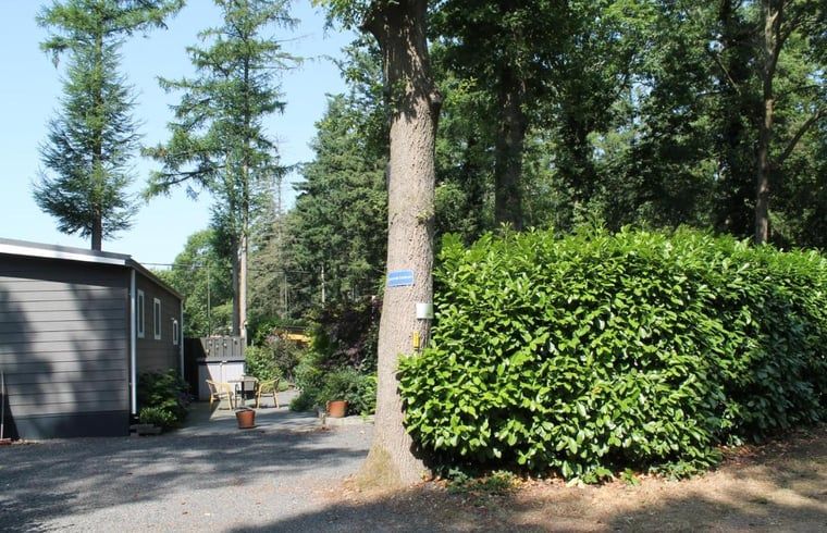 Eingang zum Ferienhaus in Lochem, umgeben von viel Gruen, Achterhoek.