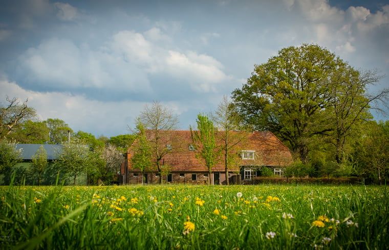 Vakantiehuis in Lochem omringd door groene natuur en bloeiende velden in de Achterhoek, Gelderland. Perfecte rustieke vakantiewoning.