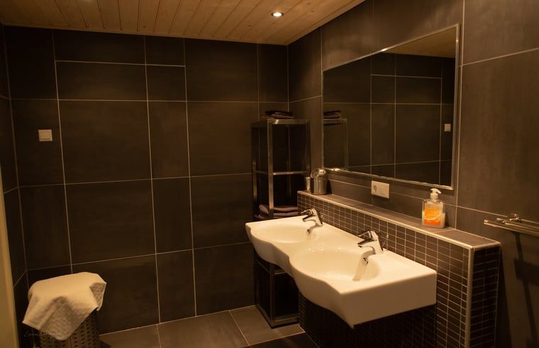 Verblijf 292176 - Vakantiewoning Achterhoek - Vakantiehuis in Lochem