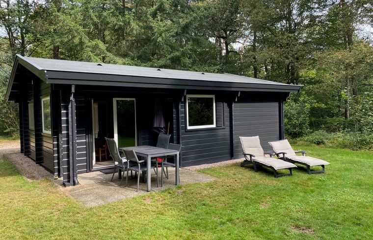 Vakantiehuisje in Hengelo omgeven door groene natuur in de Achterhoek, Gelderland.