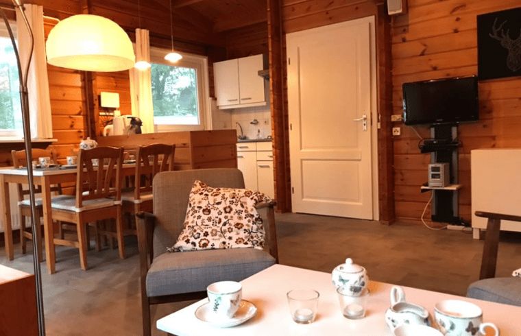 Comfortabele zithoek in Vakantiehuisje in Hengelo, Achterhoek, met warme houten afwerking.