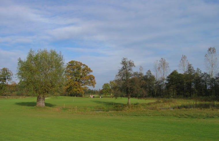 Uitgestrekte groene velden nabij Vakantiehuisje in Hengelo, Achterhoek, ideaal voor wandelingen.