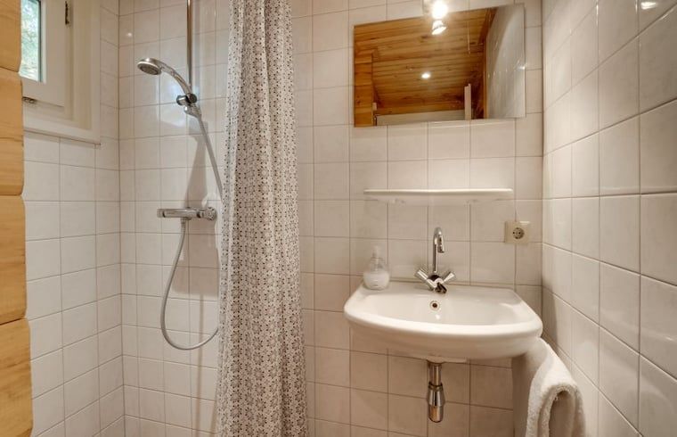 Moderne badkamer in Vakantiehuisje in Hengelo, Achterhoek, met douche en wastafel.