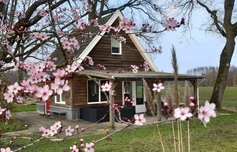 Vakantiehuisje in Hengelo GLD, Varssel, Bronckhorst omgeven door bloesems in de Achterhoek, Gelderland.