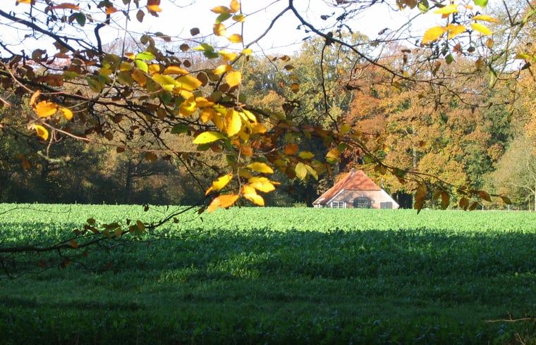 Unterkunft 292222 - Ferienhaus Achterhoek - Vakantiehuisje in Hengelo Gld