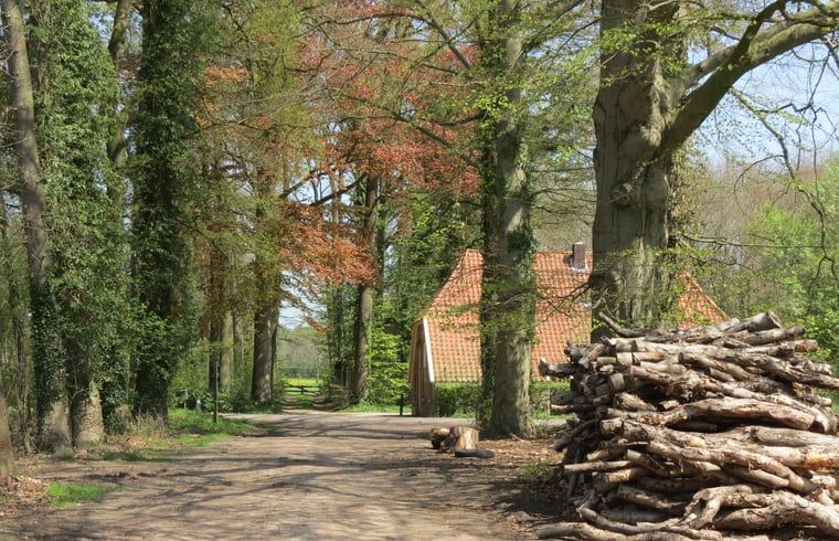 Unterkunft 292222 - Ferienhaus Achterhoek - Vakantiehuisje in Hengelo Gld
