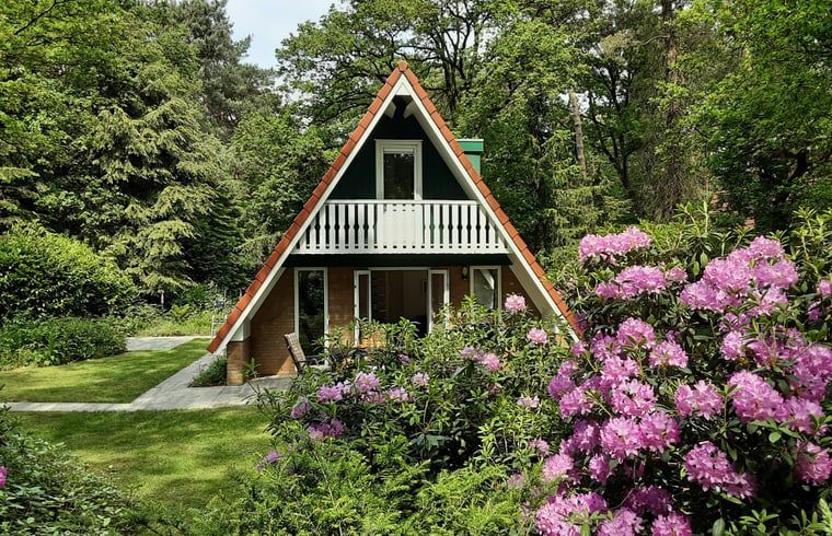 Ferienhaus in Harfsen, umgeben von bluehenden Rhododendren, Achterhoek, Gelderland.
