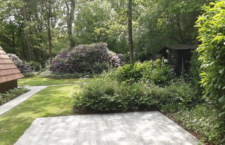 Terrasse des Ferienhauses in Harfsen mit Blick auf die gruene Umgebung, Achterhoek, Gelderland.